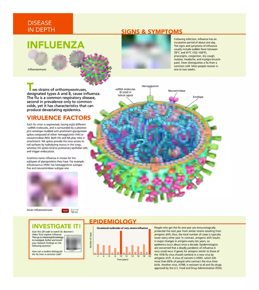 Microbial Diseases of the Respiratory System - Page 14