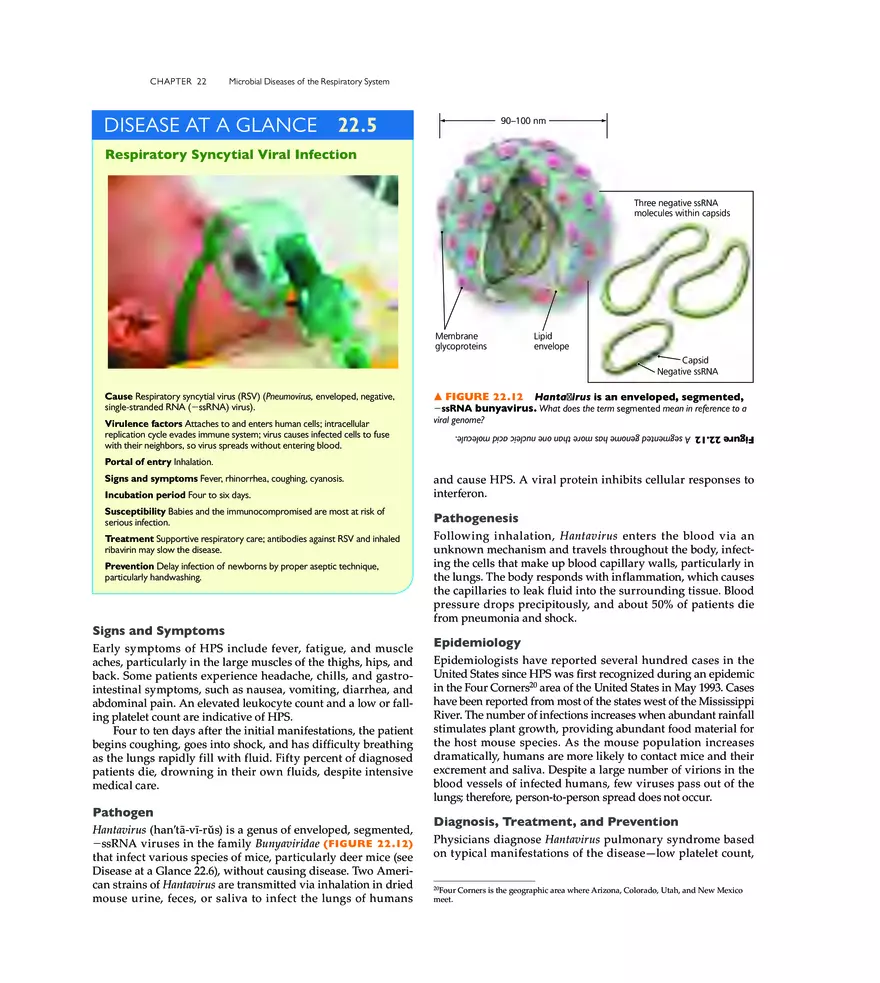 Microbial Diseases of the Respiratory System - Page 18