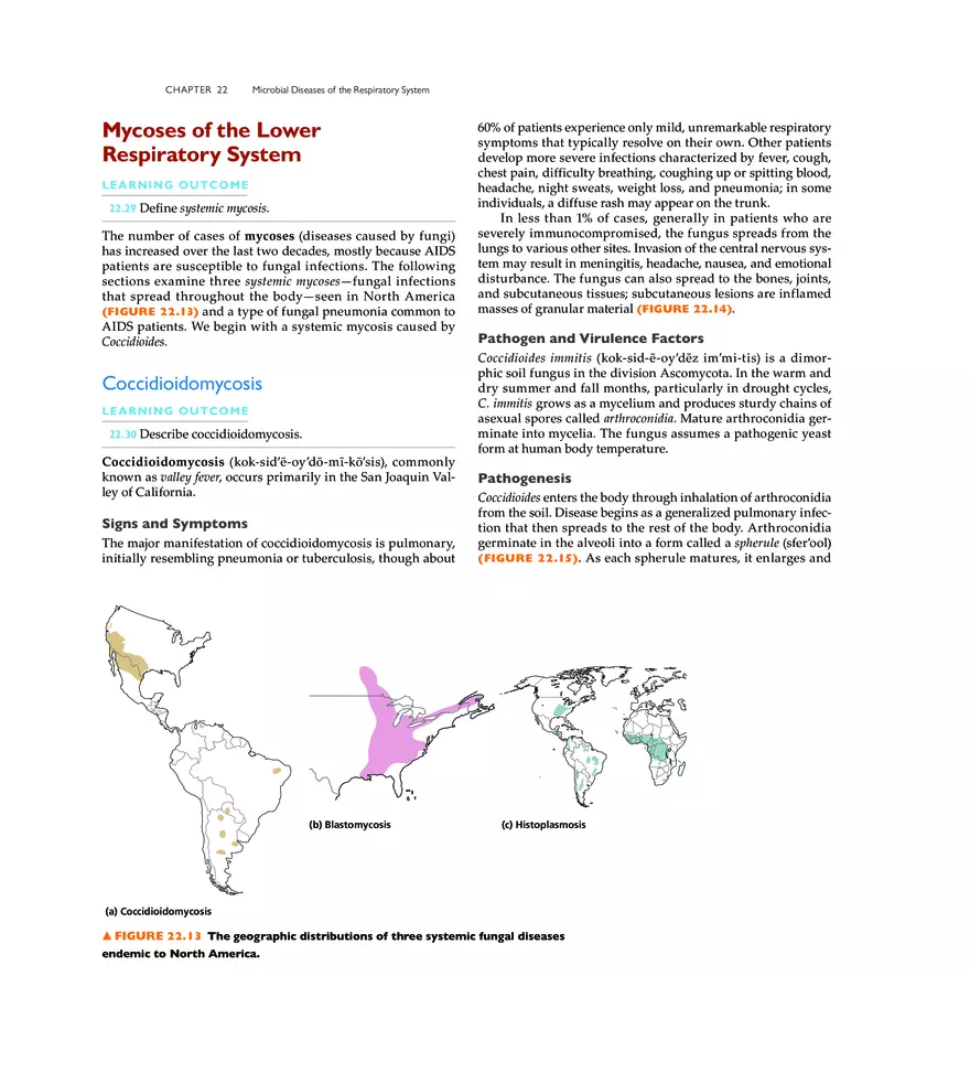 Microbial Diseases of the Respiratory System - Page 20
