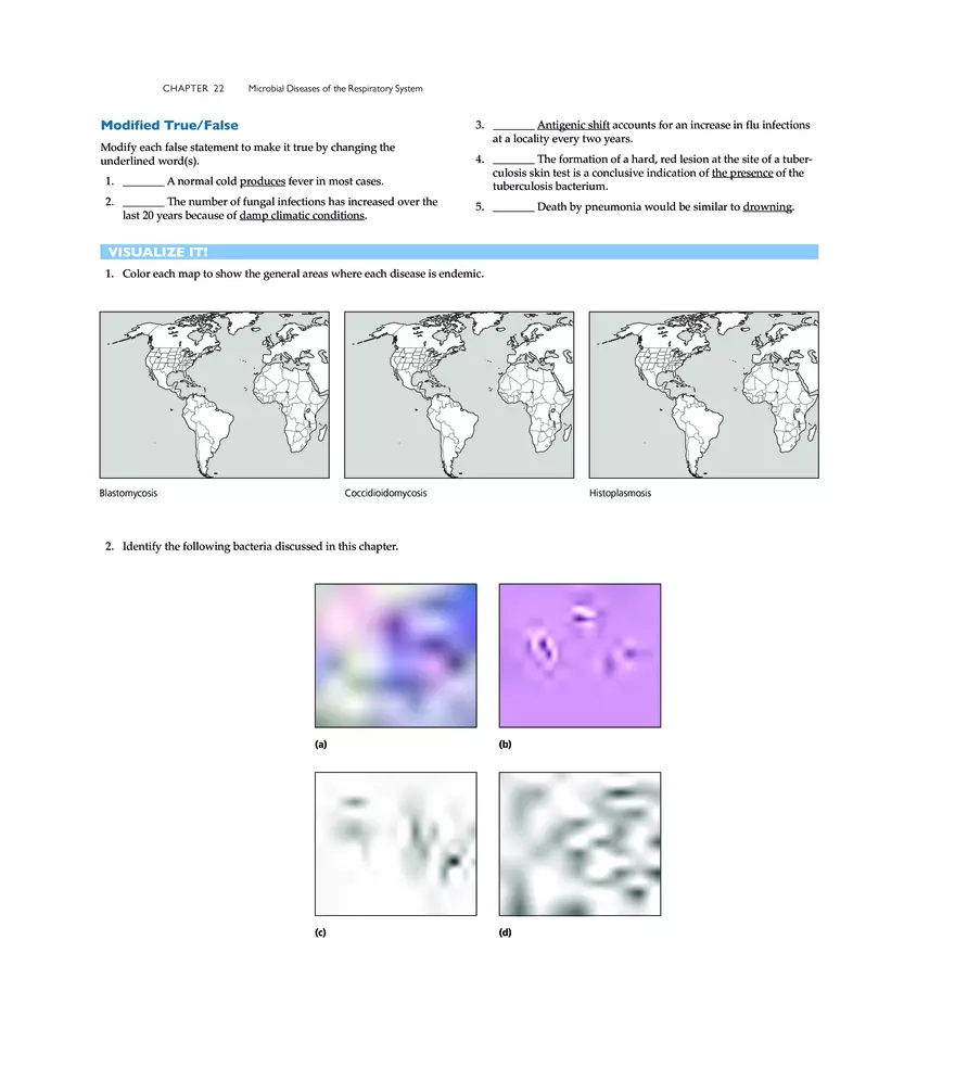 Microbial Diseases of the Respiratory System - Page 29