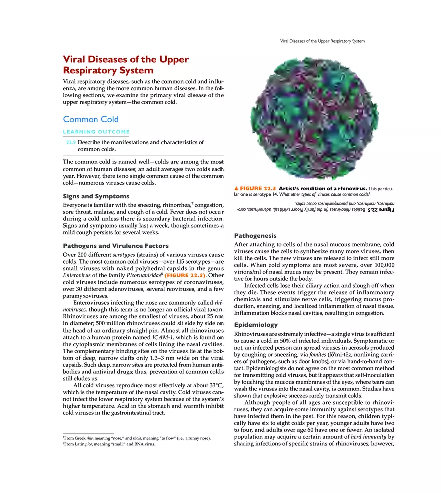 Microbial Diseases of the Respiratory System - Page 35