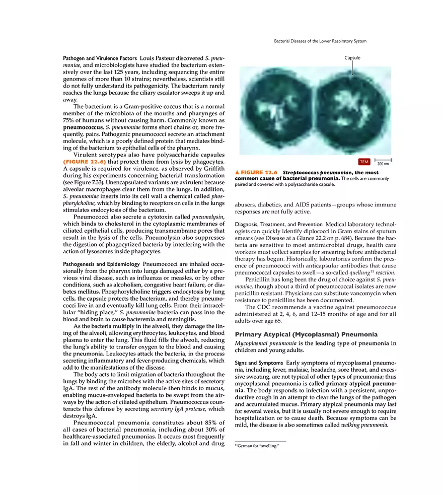 Microbial Diseases of the Respiratory System - Page 37