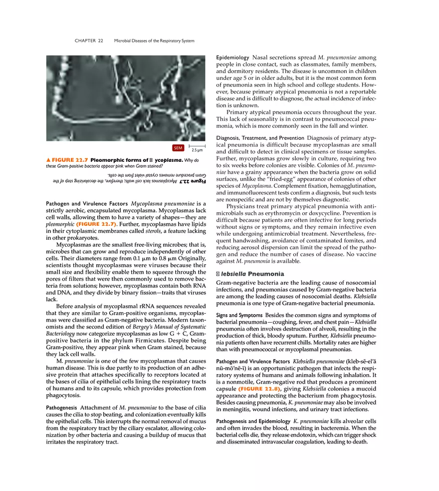 Microbial Diseases of the Respiratory System - Page 3