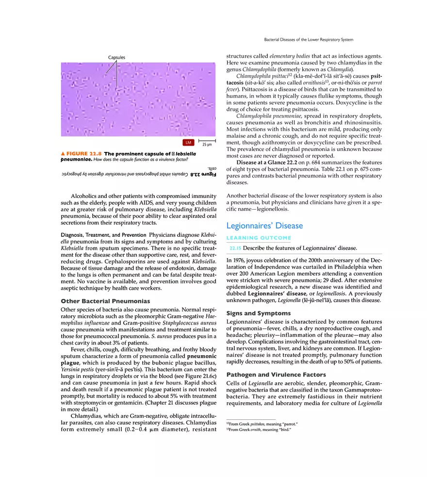 Microbial Diseases of the Respiratory System - Page 4
