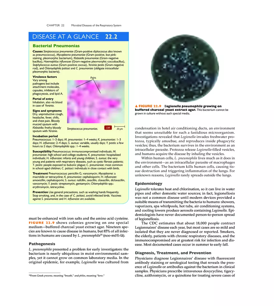 Microbial Diseases of the Respiratory System - Page 5