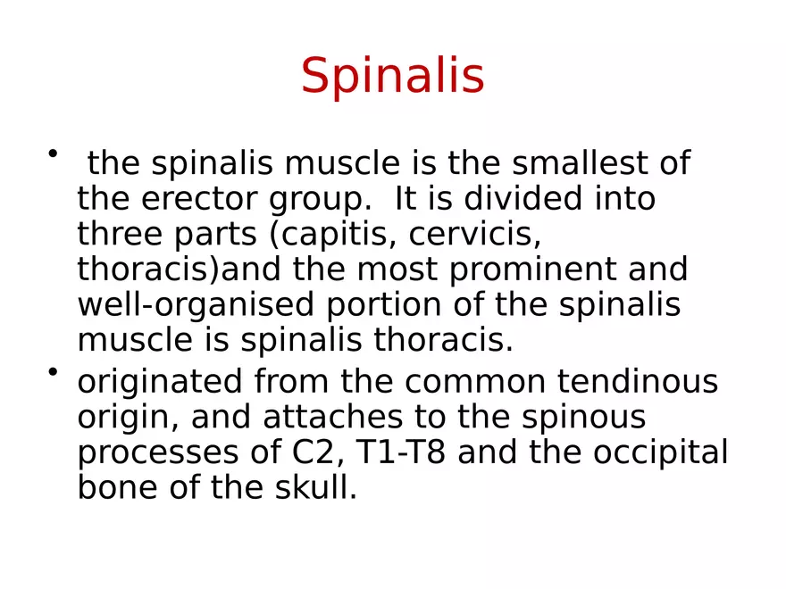 Trunk Muscle - Page 8