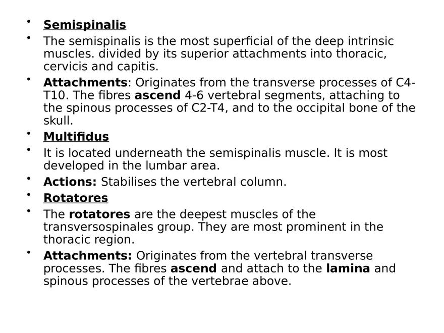 Trunk Muscle - Page 14
