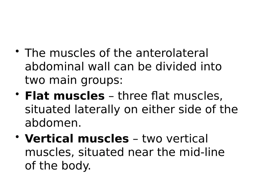 Trunk Muscle - Page 25