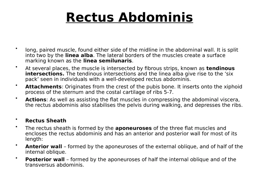 Trunk Muscle - Page 30