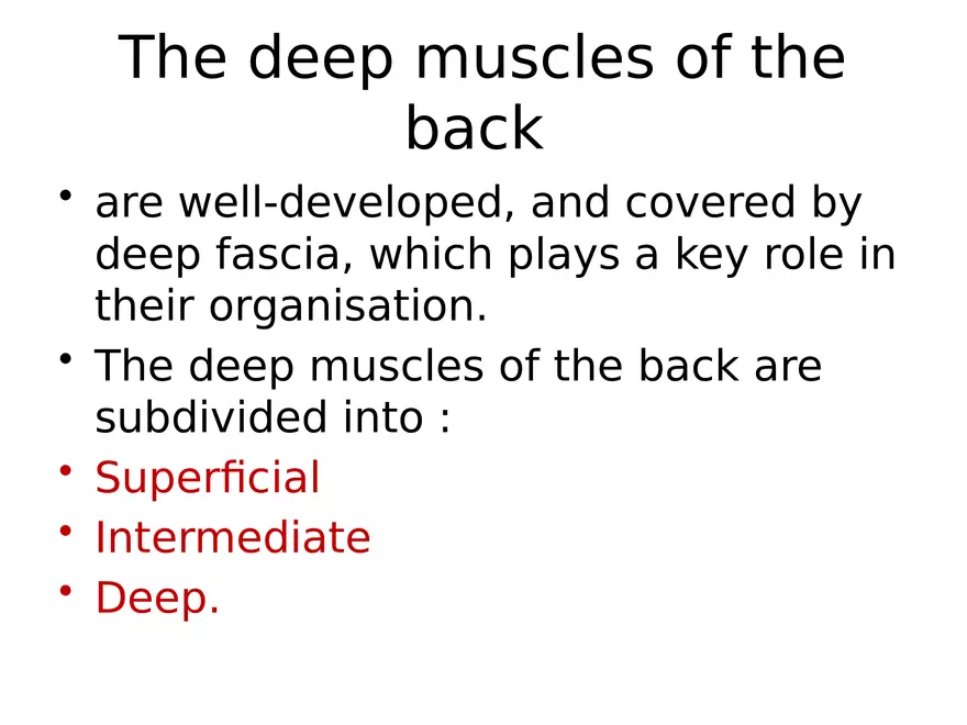 Trunk Muscle - Page 32