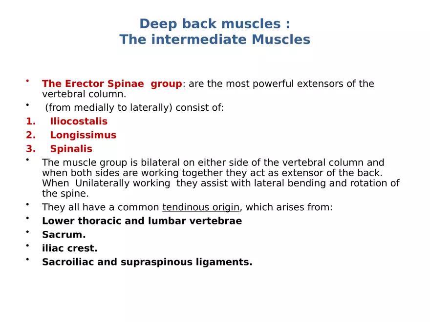 Trunk Muscle - Page 36