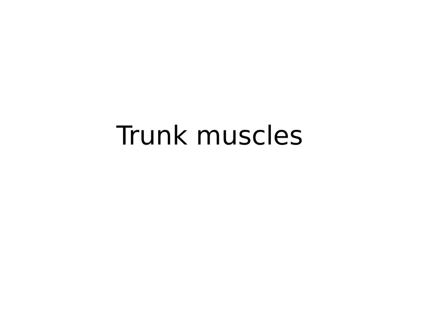 Trunk Muscle - Page 1