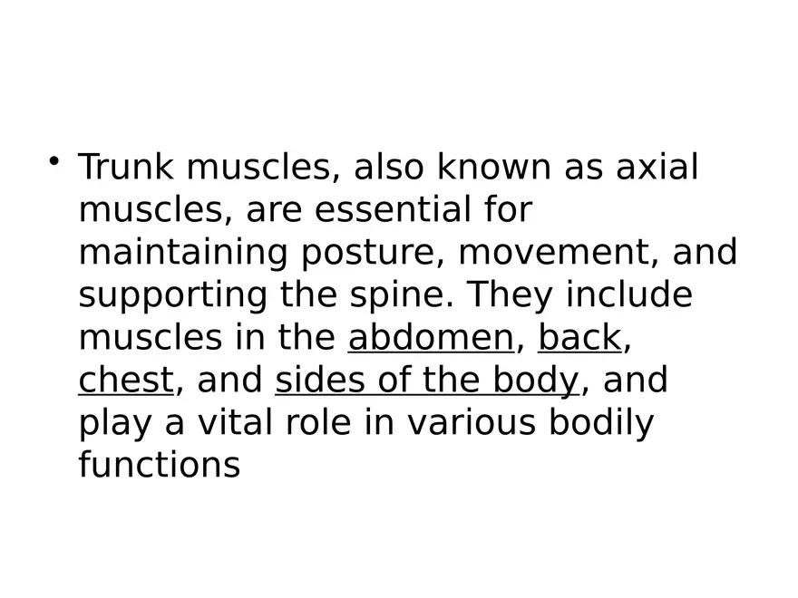 Trunk Muscle - Page 2