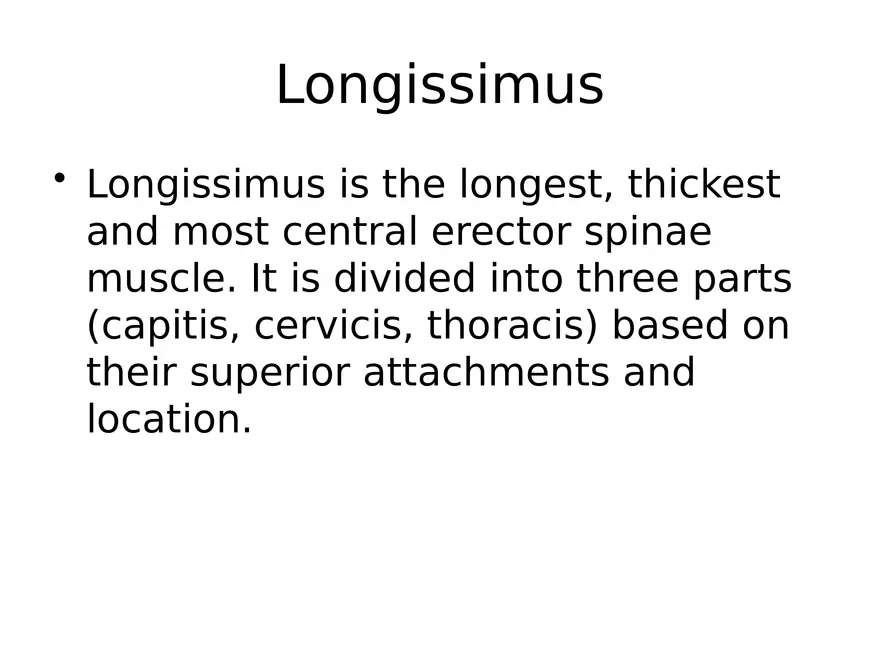 Trunk Muscle - Page 5