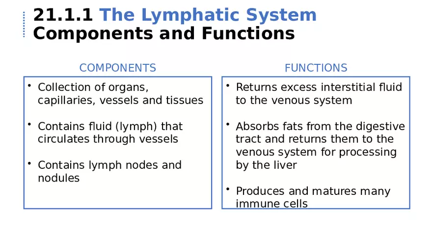 21.1 Lymphatic System - Page 6