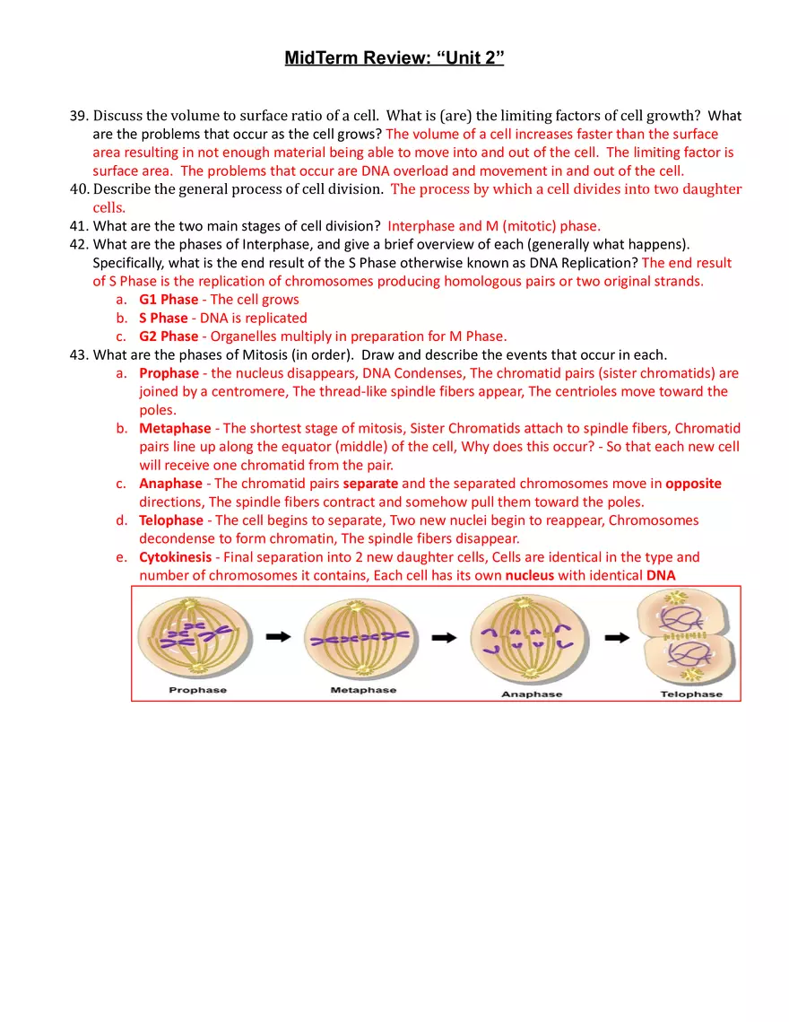 Biology Midterm Test Review Answers - Page 4