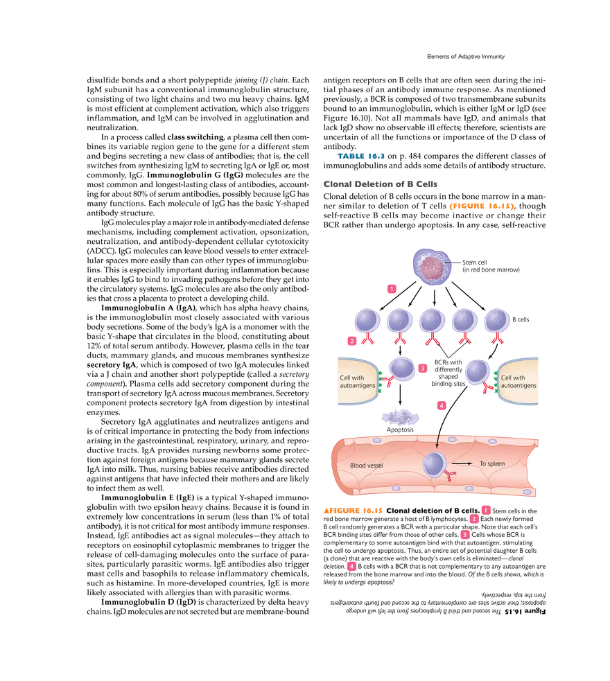 Adaptive Immunity - Page 7
