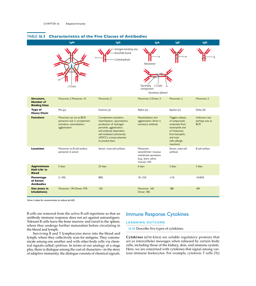 Adaptive Immunity - Page 8