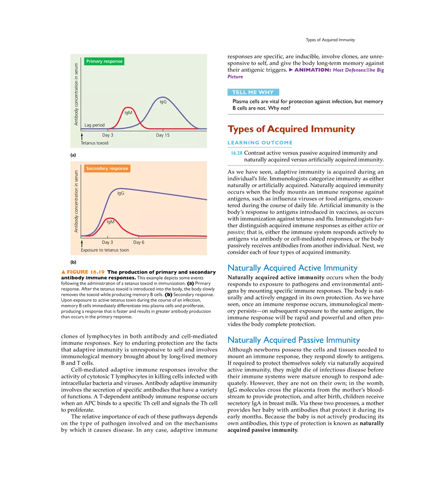 Adaptive Immunity - Page 16