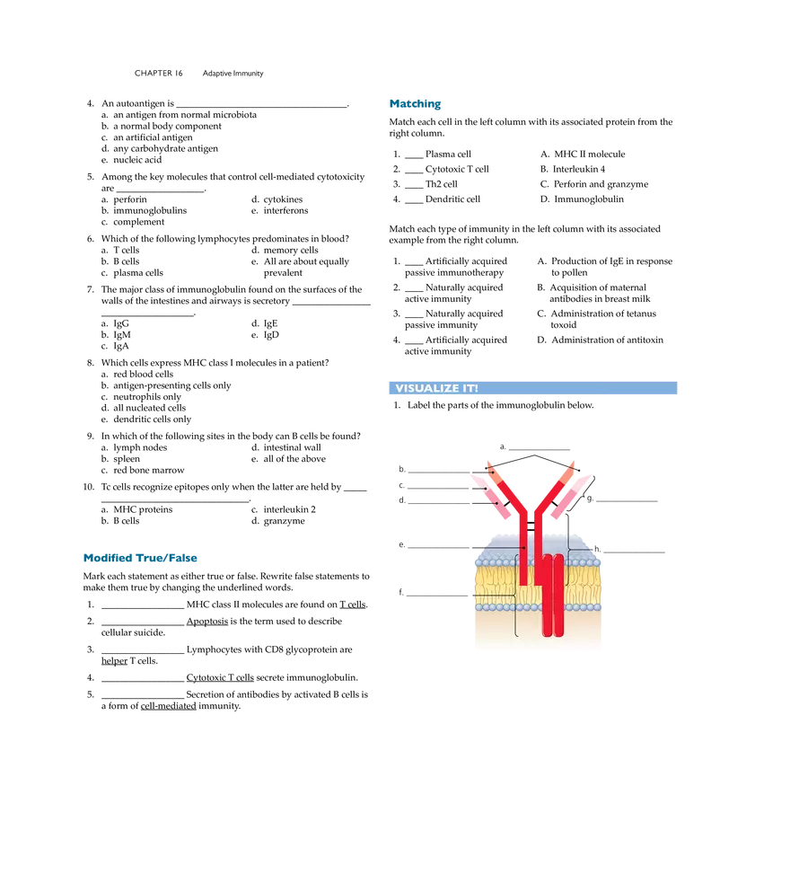 Adaptive Immunity - Page 21
