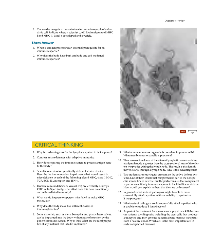 Adaptive Immunity - Page 22