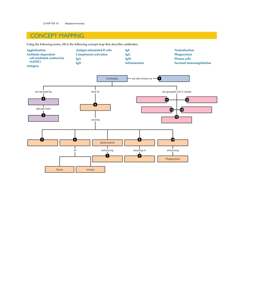 Adaptive Immunity - Page 23
