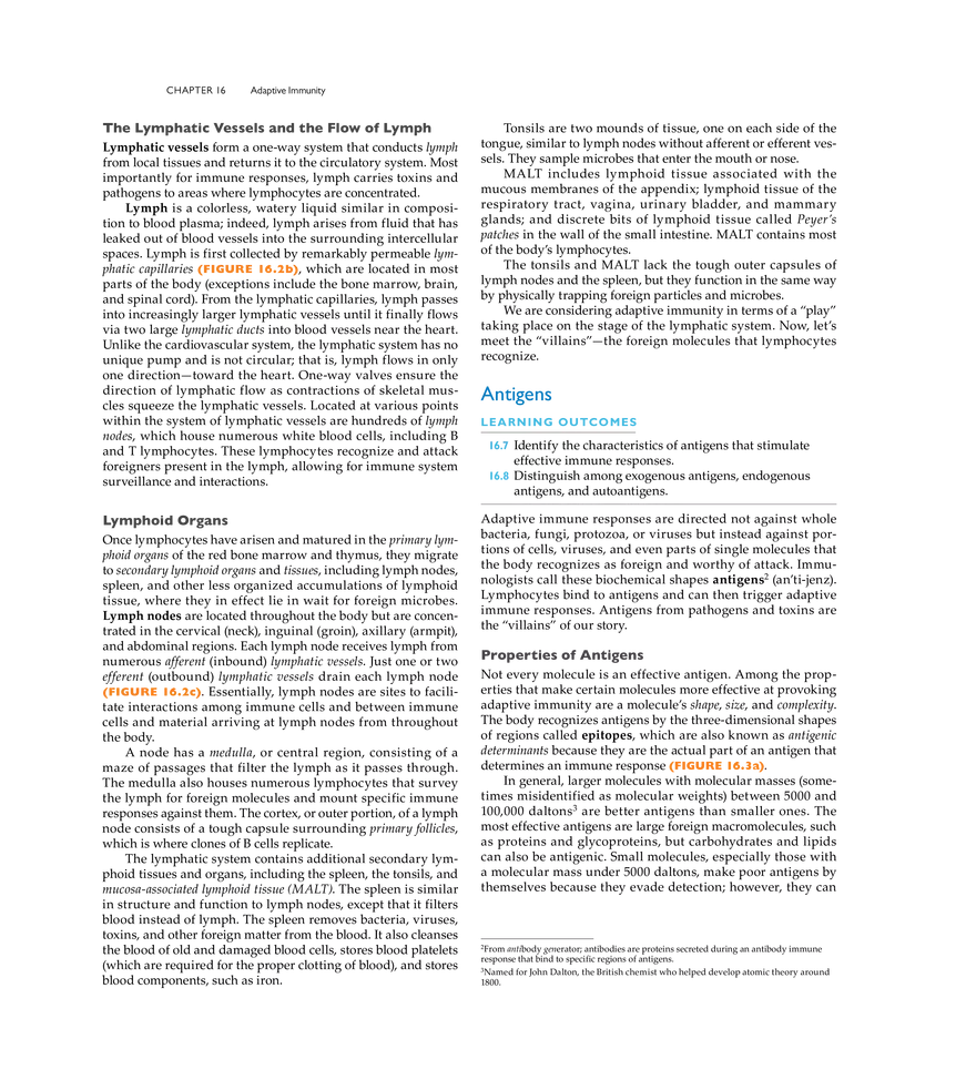 Adaptive Immunity - Page 24