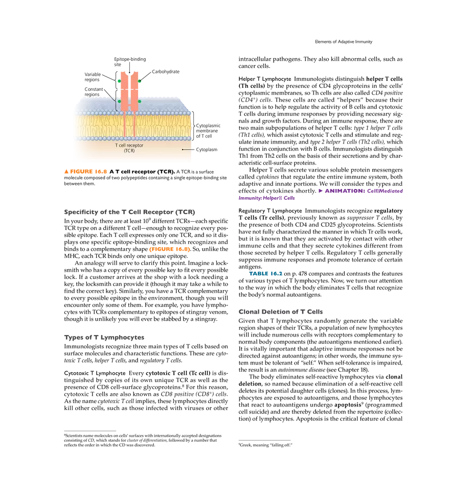 Adaptive Immunity - Page 29