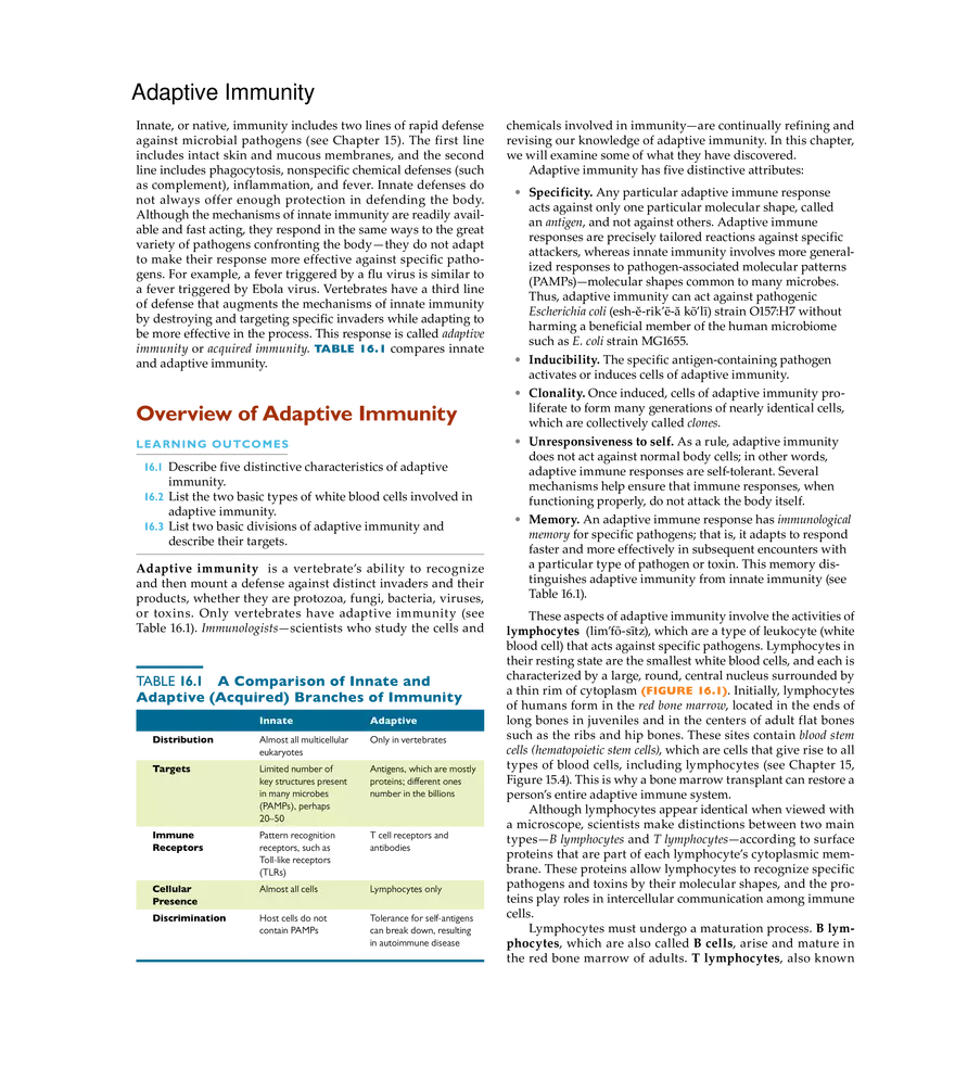 Adaptive Immunity - Page 1