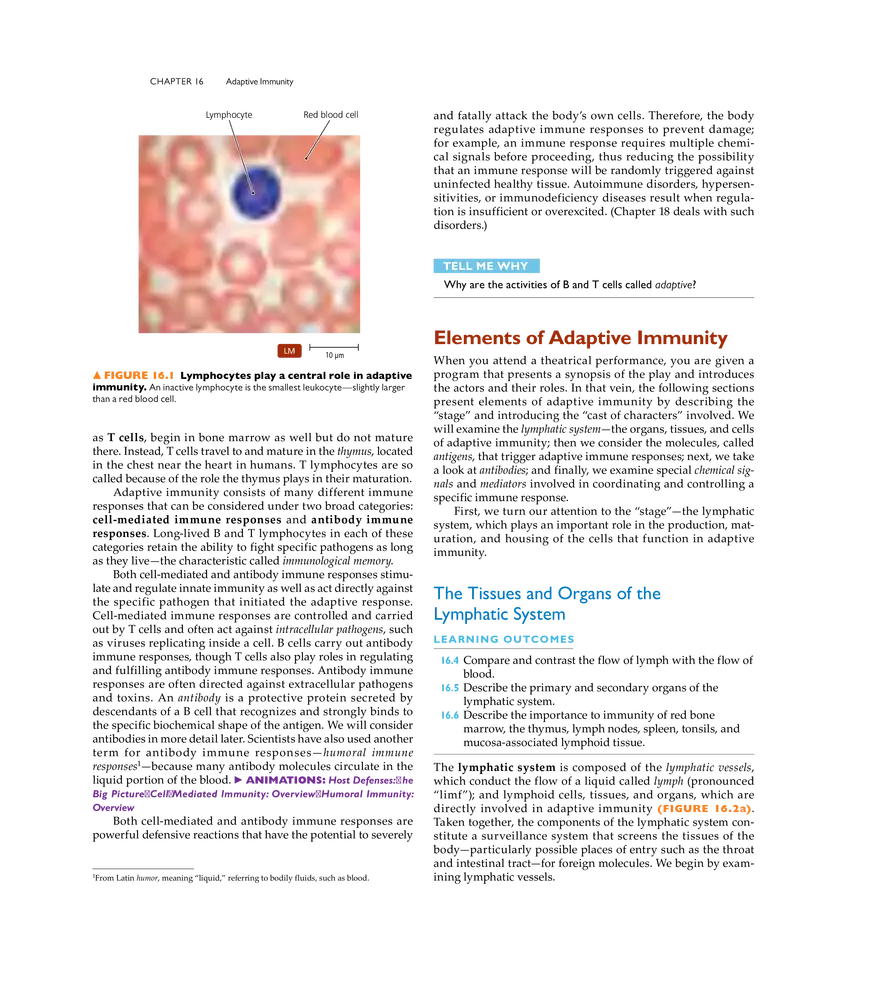Adaptive Immunity - Page 2