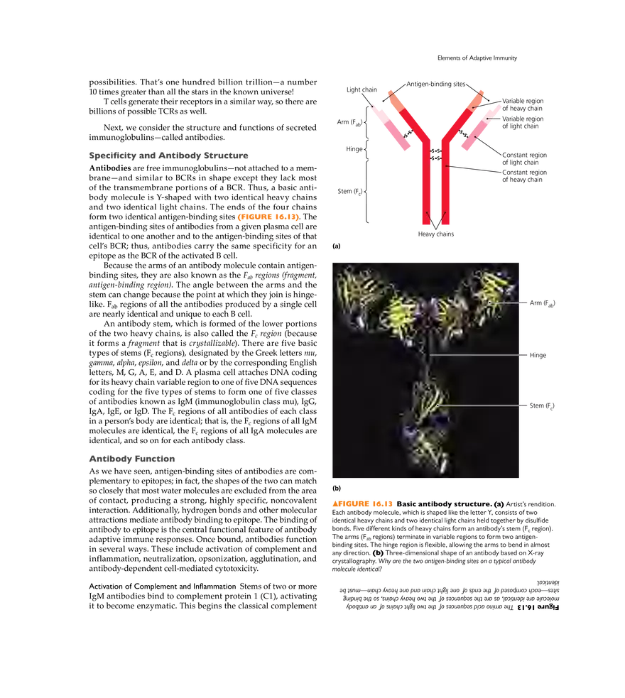 Adaptive Immunity - Page 5
