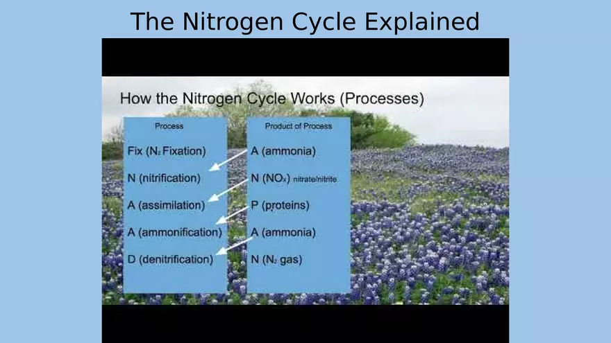 APES Exam Review Unit 1 - Page 7