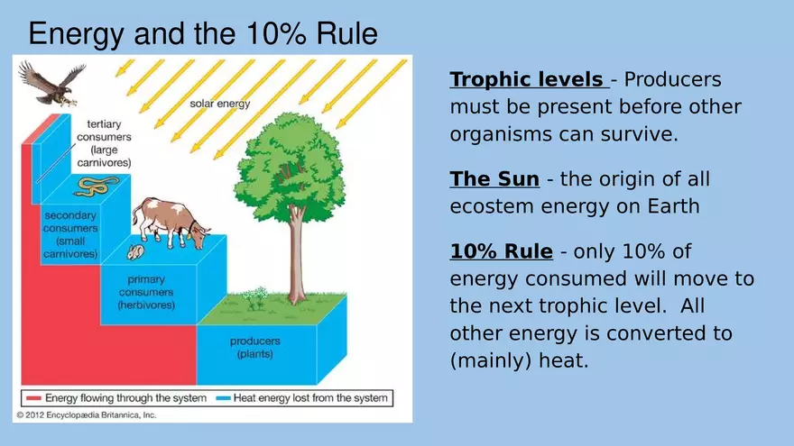 APES Exam Review Unit 1 - Page 8