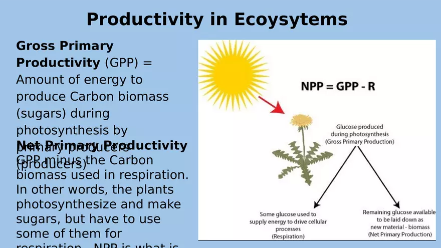 APES Exam Review Unit 1 - Page 10