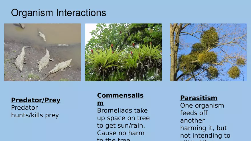 APES Exam Review Unit 1 - Page 2