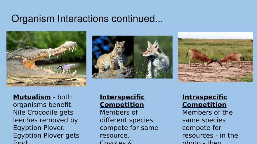 APES Exam Review Unit 1 - Page 3