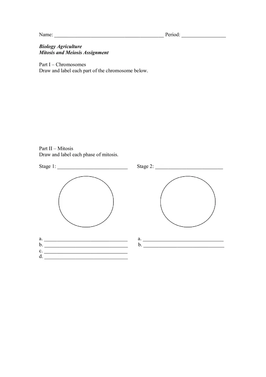 Mitosis and Meiosis Assignment - Page 1