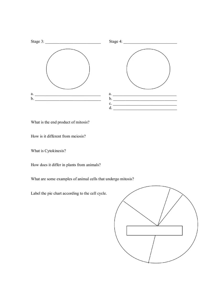 Mitosis and Meiosis Assignment - Page 2