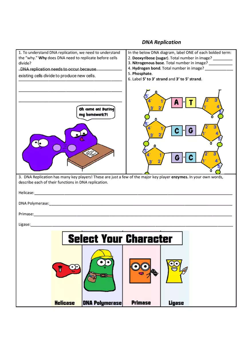 DNA Replication - Lab Work - Page 1