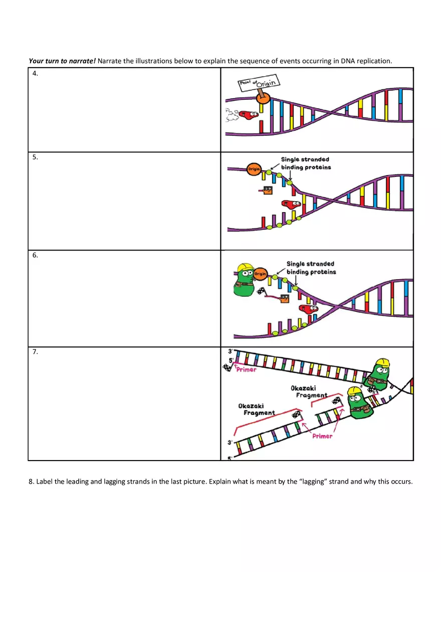 DNA Replication - Lab Work - Page 2