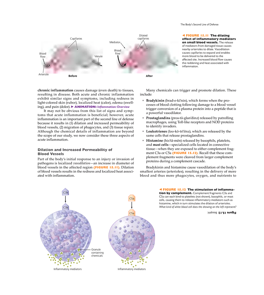 Innate Immunity - Page 8