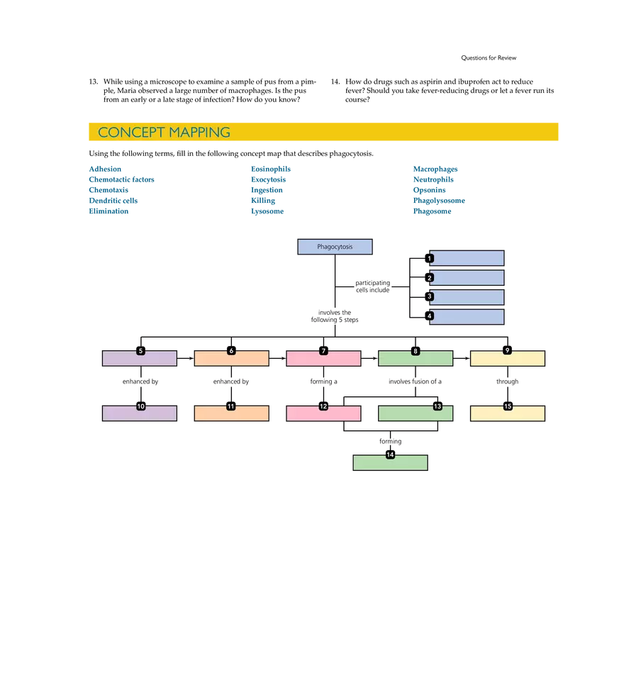 Innate Immunity - Page 17