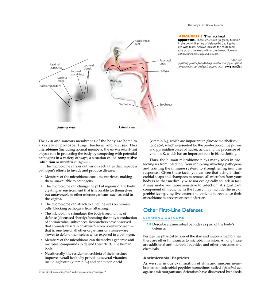 Innate Immunity - Page 18