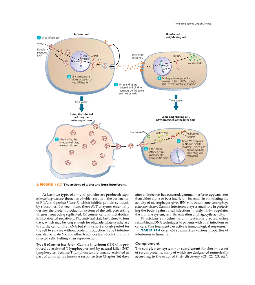 Innate Immunity - Page 4
