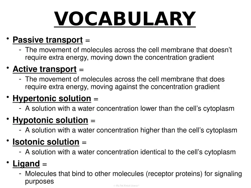 Anatomy Concept 2 Homeostasis and Regulation - Page 7
