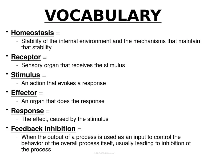 Anatomy Concept 2 Homeostasis and Regulation - Page 2