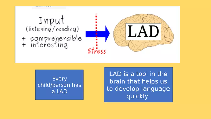 Chomsky and What is Language and How It is Acquired - Page 21