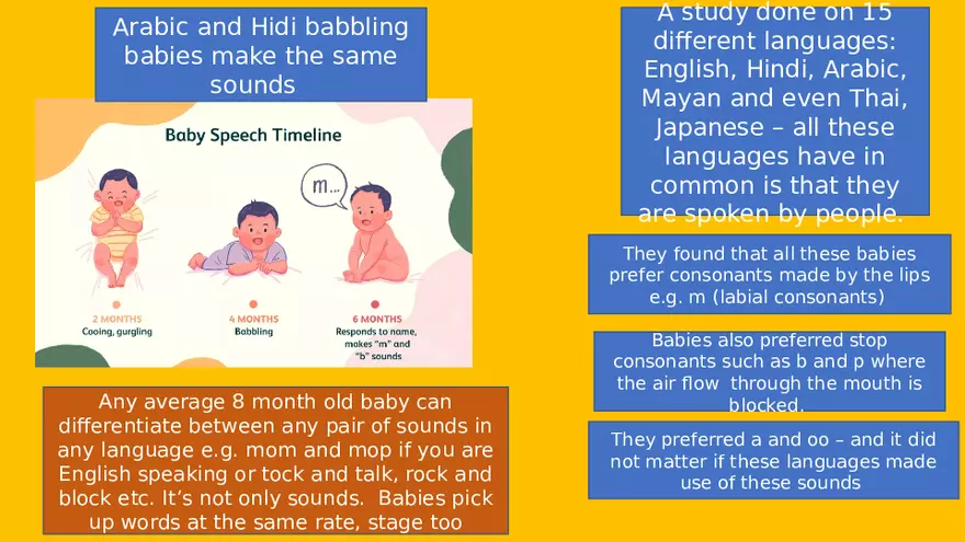 Chomsky and What is Language and How It is Acquired - Page 3