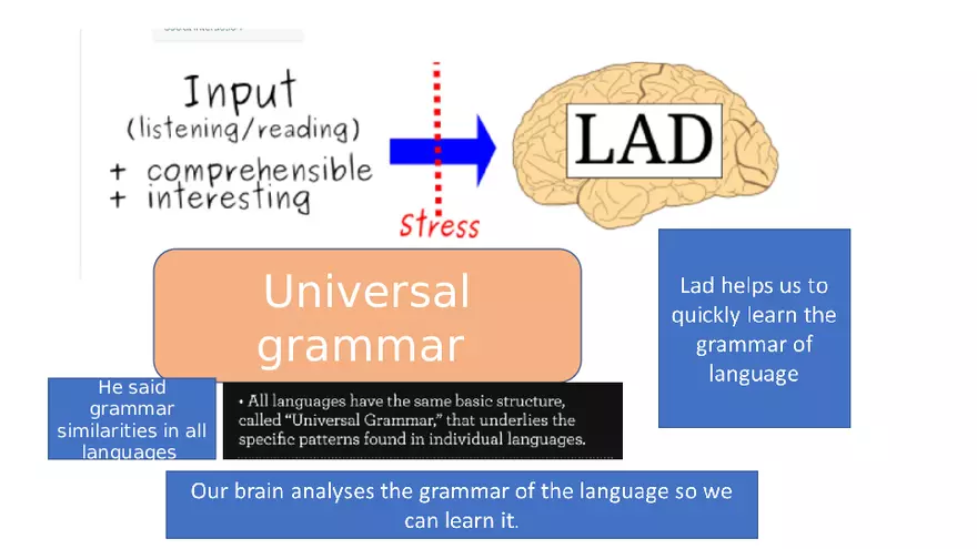 Chomsky and What is Language and How It is Acquired - Page 4