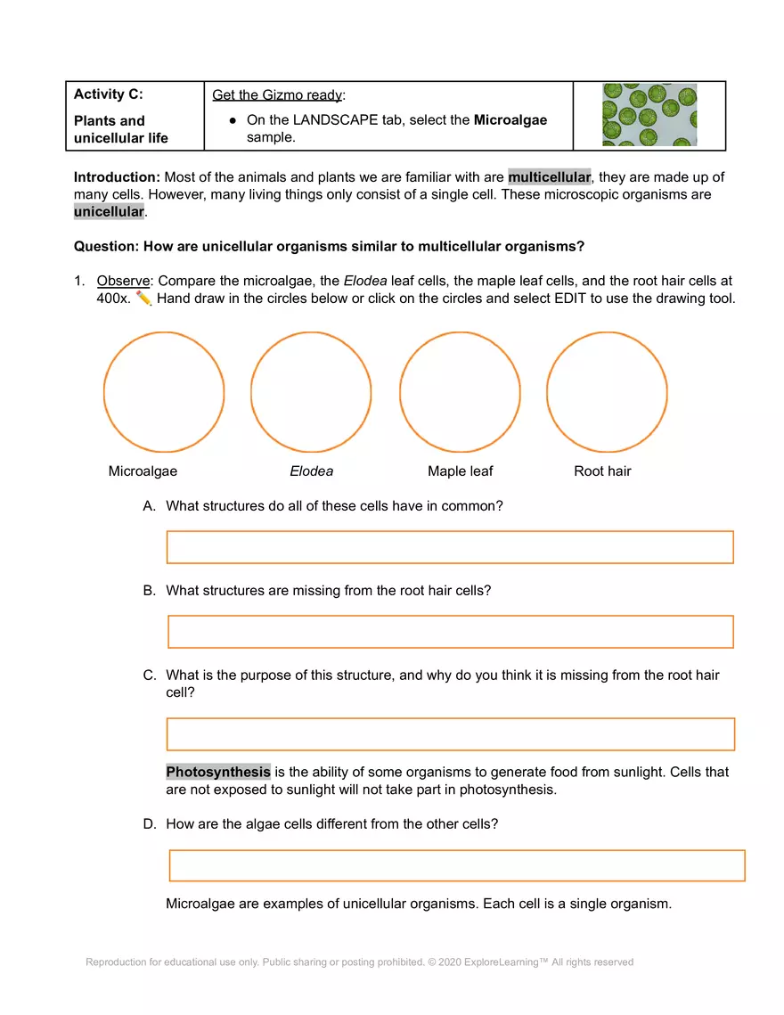 Cell Types SE - Page 10